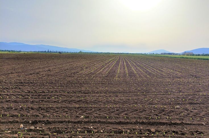 3aff59b98a4ff3b408c245214f07515d