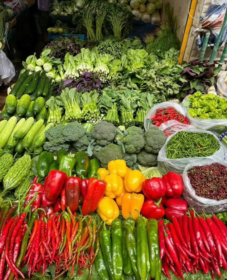 47de0777ada7fc9dab6717a5be1b0e85