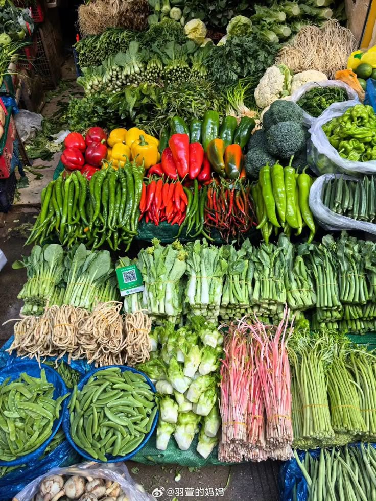 8082d6716e42183ff3b55ee720c499c0