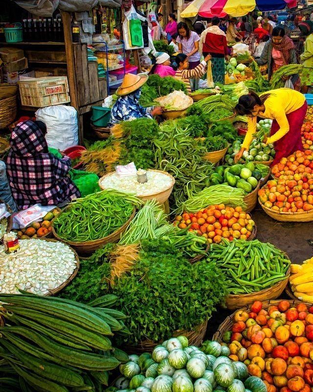 9ca6b8ff8b6c8a86a2af518aa3092e6a